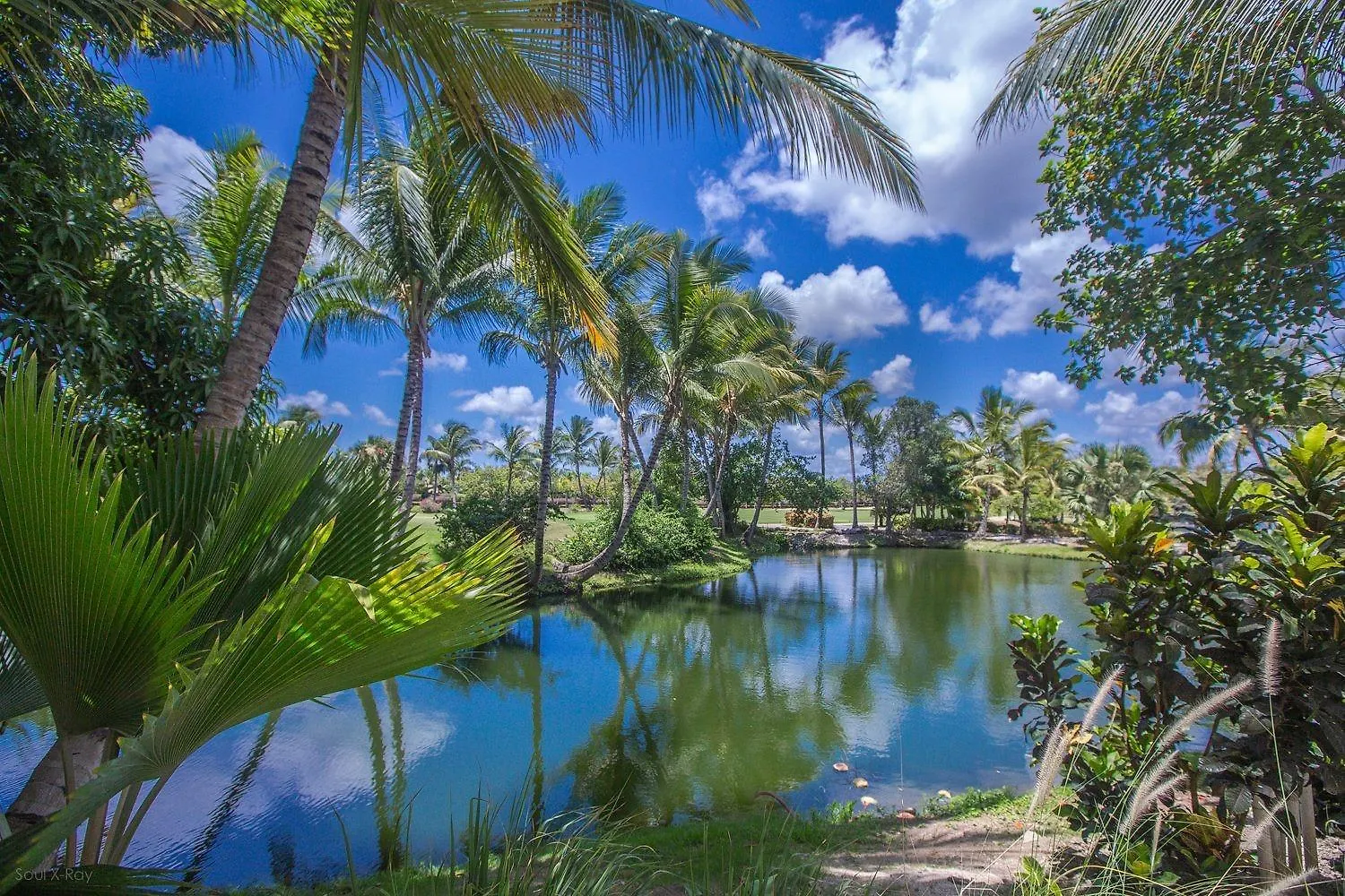 Private & Luxury Apartment Cocotal In Gated & Secured Community Punta Cana